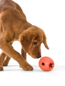 Jouet interactif puzzle pour chien - Rumbl Zogoflex - Orange - Eco-friendly