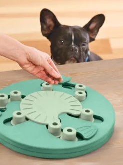 Jouet interactif / puzzle pour chien - Dog Worker - Niveau 3