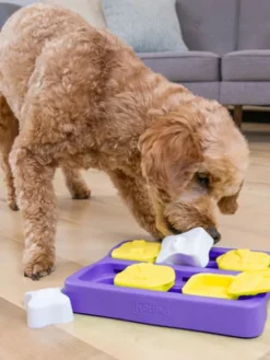 Jouet interactif / puzzle pour chien - Dog Brick Small Edition - Niveau 2