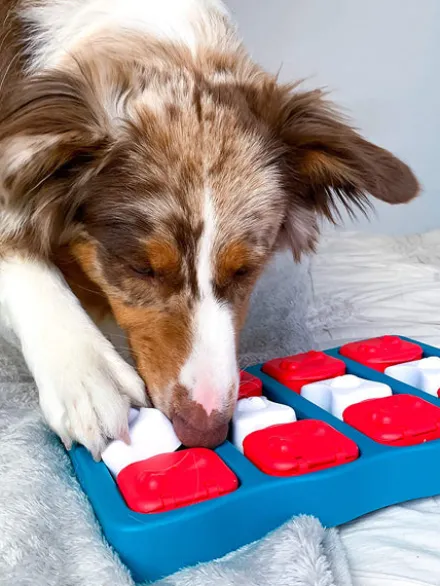 Jouet interactif / puzzle pour chien - Dog Brick - Niveau 2