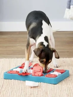 Jouet interactif / puzzle pour chien - Dog Brick - Niveau 2