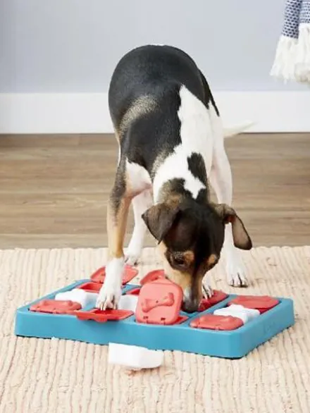 Jouet interactif / puzzle pour chien - Dog Brick - Niveau 2