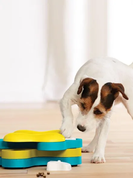 Jouet interactif / puzzle pour chien - Tornado - Niveau 2
