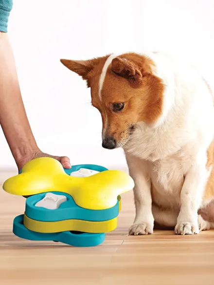 Jouet interactif / puzzle pour chien - Tornado - Niveau 2