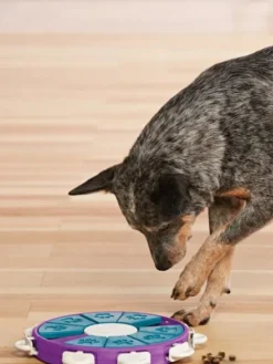 Jouet interactif / puzzle pour chien - Twister - Niveau 3