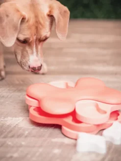 Jouet interactif / puzzle pour chiot - Puppy Tornado - Nina Ottosson