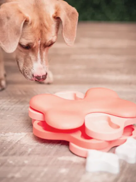 Jouet interactif / puzzle pour chiot - Puppy Tornado - Nina Ottosson