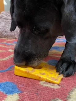 Jouet à mâcher ou à lécher - Fromage 🧀 - SodaPup