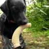 Jouet à mâcher ou à lécher pour chien - Dental Antler XL - SodaPup