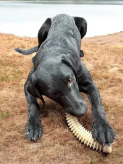 Jouet à mâcher ou à lécher pour chien - Dental Antler XL - SodaPup