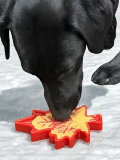 Jouet à mâcher ou à lécher pour chien - Feuille d'érable 🍁 - SodaPup
