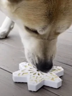 Jouet à mâcher ou à lécher pour chien - Flocon de Neige - SodaPup