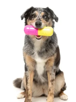Jouet à mâcher pour chien - Chill Pill 💊 - Fuzzyard