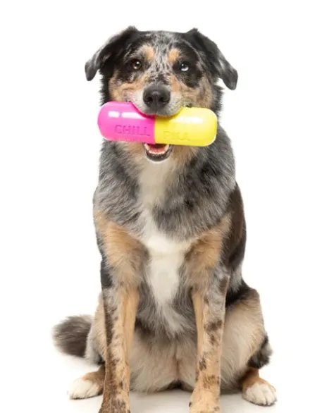 Jouet à mâcher pour chien - Chill Pill 💊 - Fuzzyard