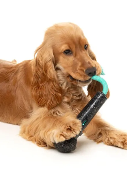 Jouet à mâcher pour chien - Micro 🎤 - Fuzzyard