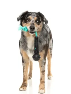 Jouet à mâcher pour chien - Micro 🎤 - Fuzzyard