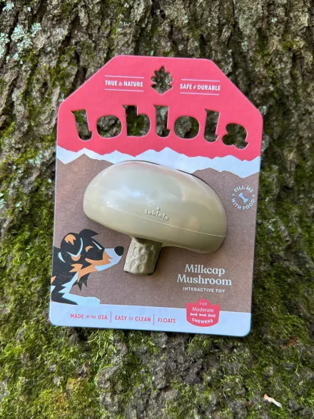 Jouet occupation pour chien - Champignon 🍄 - Loblola