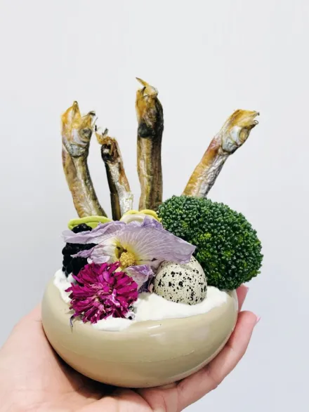 Jouet occupation pour chien - Champignon 🍄 - Loblola