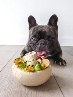 Jouet occupation pour chien - Champignon 🍄 - Loblola