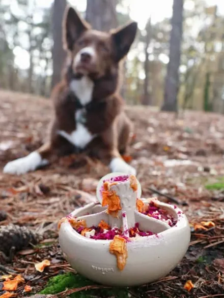 Jouet occupation pour chien - Champignon 🍄 - Loblola