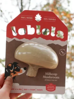 Jouet occupation pour chien - Champignon 🍄 - Loblola
