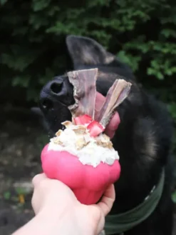 Jouet occupation pour chien - Cupcake - SodaPup