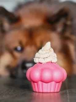 Jouet occupation pour chien - Cupcake - SodaPup