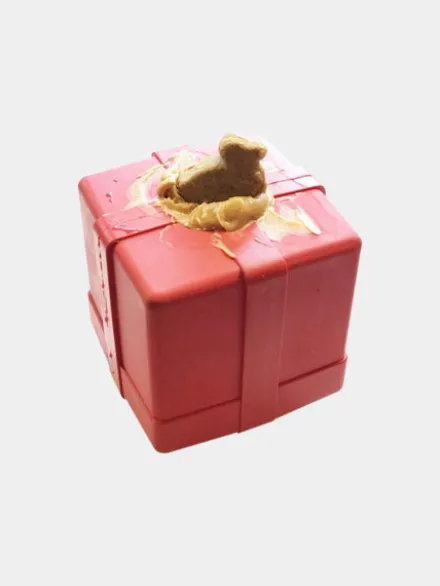 Jouet occupation pour chien - Cadeau - SodaPup