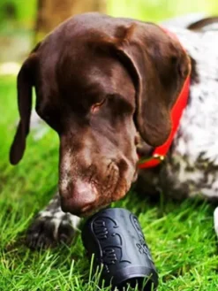 Jouet occupation pour chien - Canette Noire - SodaPup