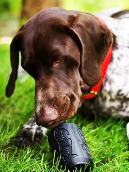 Jouet occupation pour chien - Canette Noire - SodaPup