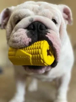 Jouet occupation pour chien - Maïs - SodaPup