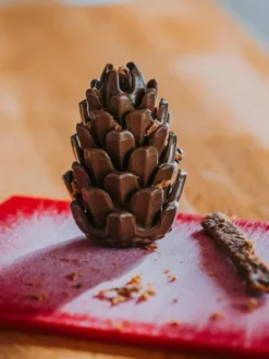 Jouet occupation pour chien - Pomme de Pin - Loblola