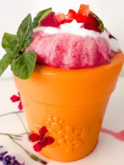 Jouet occupation pour chien - Pot de Fleur Orange - SodaPup