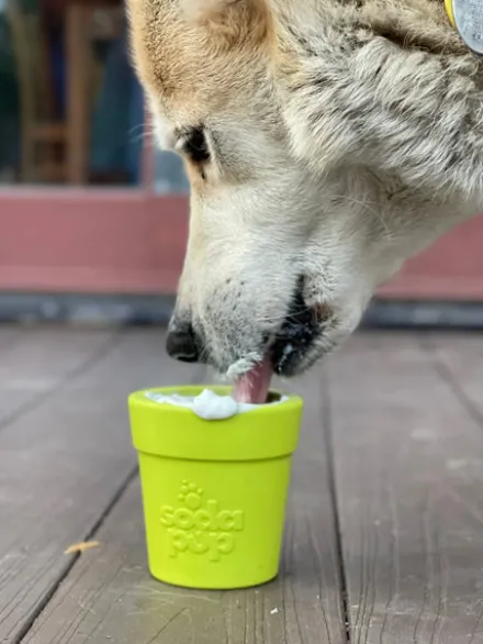 Jouet occupation pour chien - Pot de Fleur Vert - SodaPup