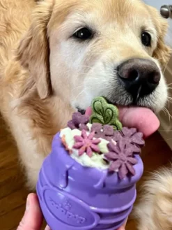 Jouet occupation pour chien - Pot de Miel Violet - SodaPup
