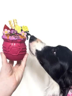 Jouet occupation pour chien - Pot de Miel Rose (2 tailles) - SodaPup