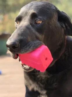 Jouet occupation pour chien - Retro Van - SodaPup