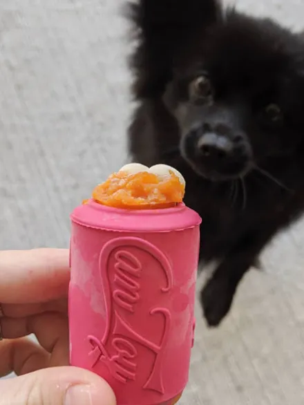 Jouet occupation pour chiot - Canette Rose - SodaPup