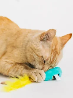 Jouet pour chat - Assortiment de vins 🍷 - Pet PLAY