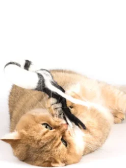Jouet pour chat en laine naturelle - Comète