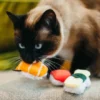 Jouet pour chat - Herbe à chat biologique - Sushi - Pet PLAY