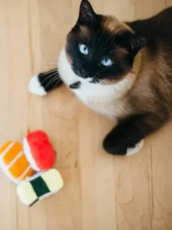 Jouet pour chat - Herbe à chat biologique - Sushi - Pet PLAY
