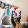 Jouet pour chat - Herbe à chat biologique - Vers de Terre - Pet PLAY