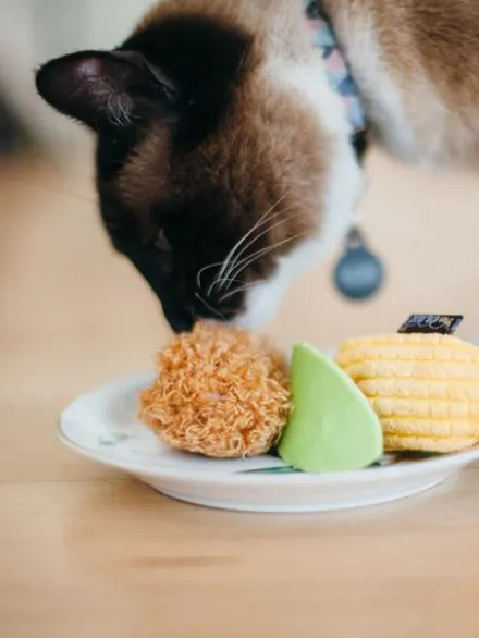 Jouet pour chat - Herbe à chat biologique - BBQ - Pet PLAY
