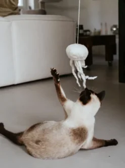 Jouet pour chat - Méduse en laine 🪼 - Hunter stylecats