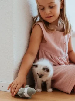 Jouet pour chat - Poisson à rayures 🐟 - Hunter stylecats