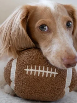Jouet pour chien - Ballon Foot US 🏈 - Lambwolf Collective