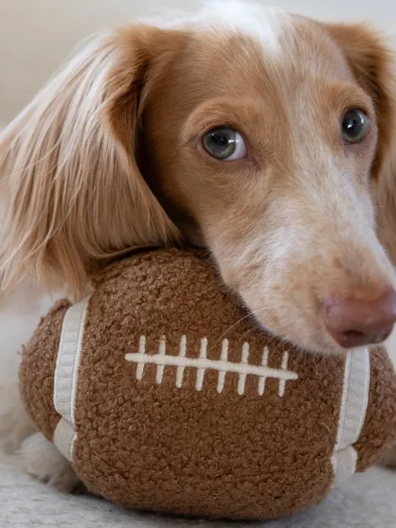 Jouet pour chien - Ballon Foot US 🏈 - Lambwolf Collective