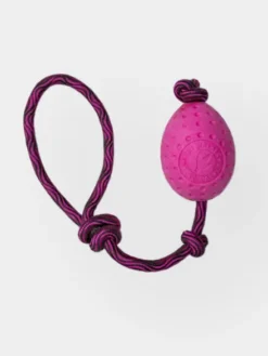 Jouet pour chien haute densité avec corde - Egg (2 coloris disponible)