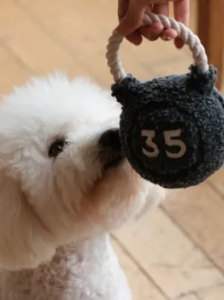 Jouet pour chien - Kettlebell 🏋️‍♀️ - Lambwolf Collective